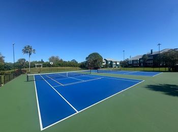 Pickleball/tennis hybrid court